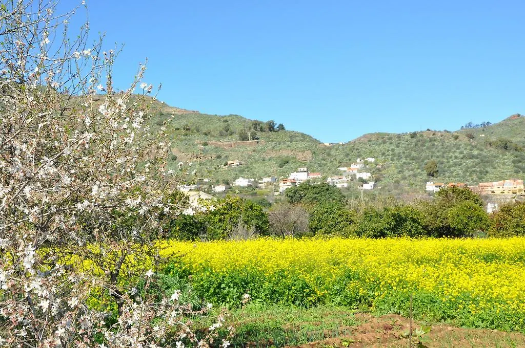 Finca La Higuerilla Hotel Tenteniguada Holiday home