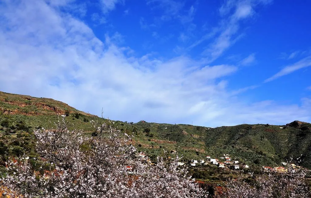 Tenteniguada Finca La Higuerilla酒店 西班牙